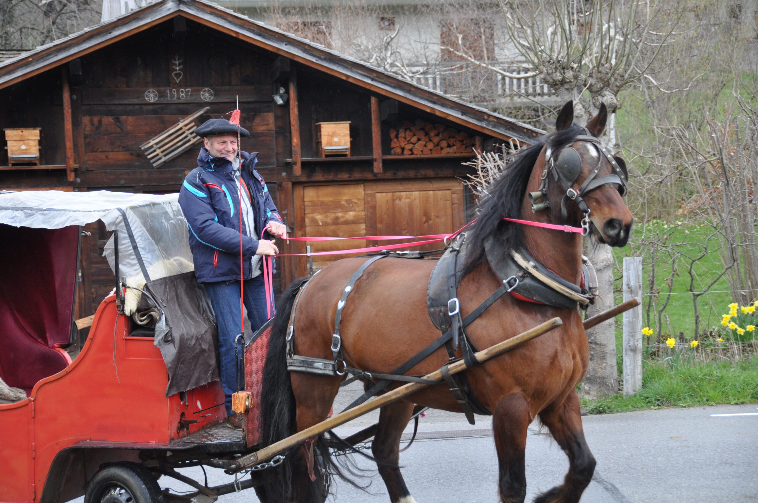 DSC 0132 copie