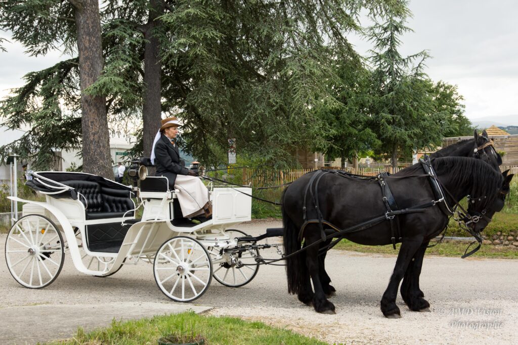 MARIAGE LEA ET BRENDAN 20260516 0420
