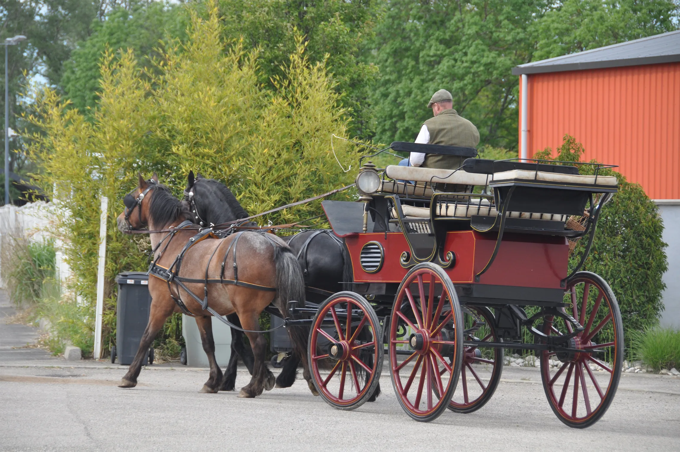 Voitures d'Antan Calèche Break De Chasse Bordeaux 13