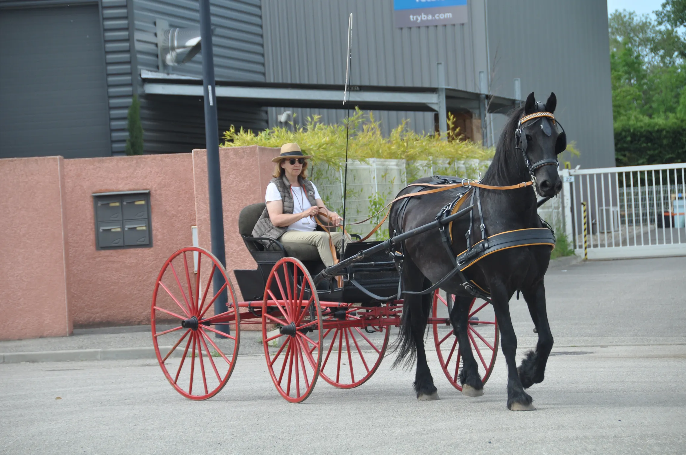 Voitures d'Antan Calèche Buggy Américain 13