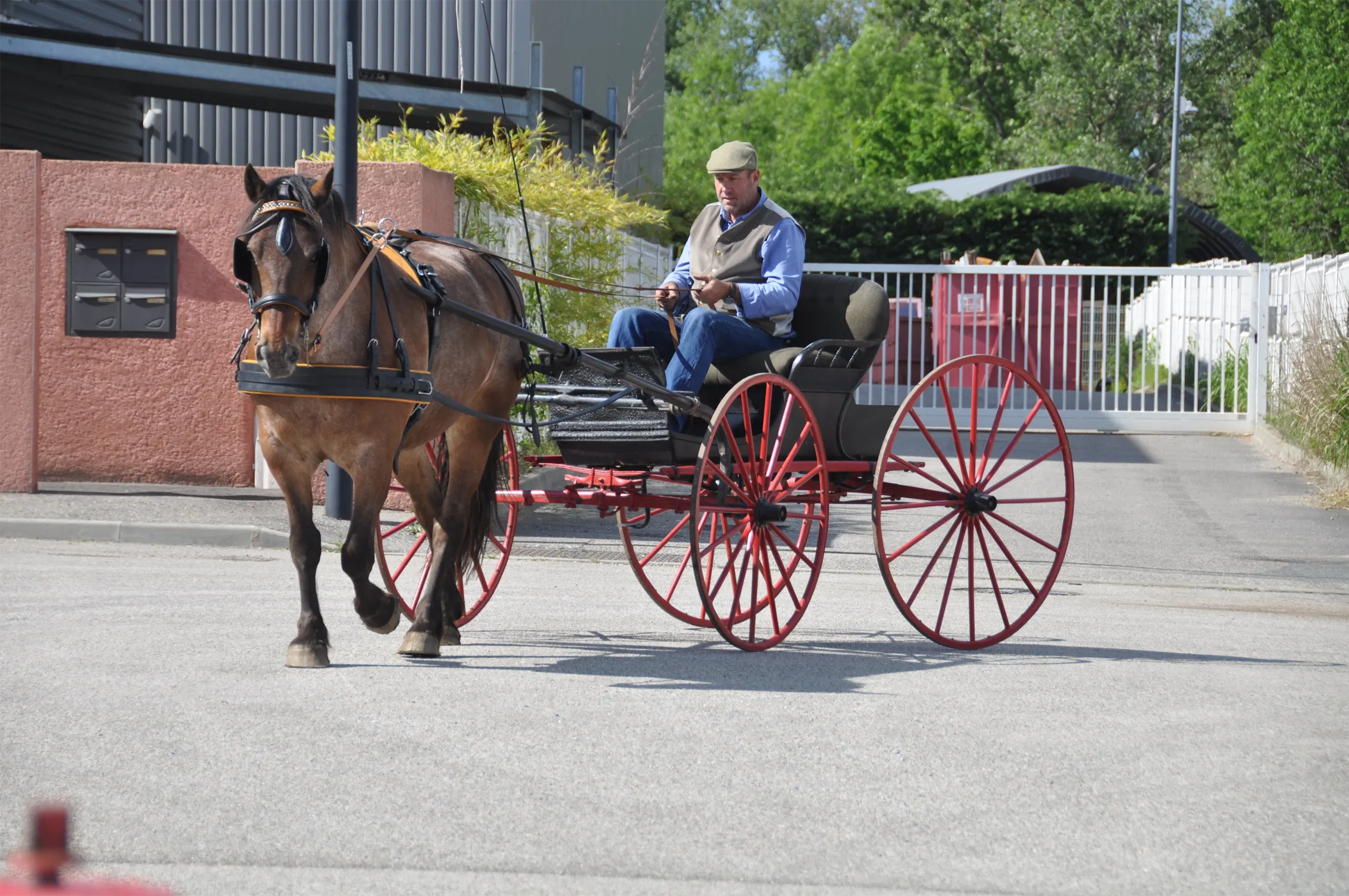 Voitures d'Antan Calèche Buggy Américain 14