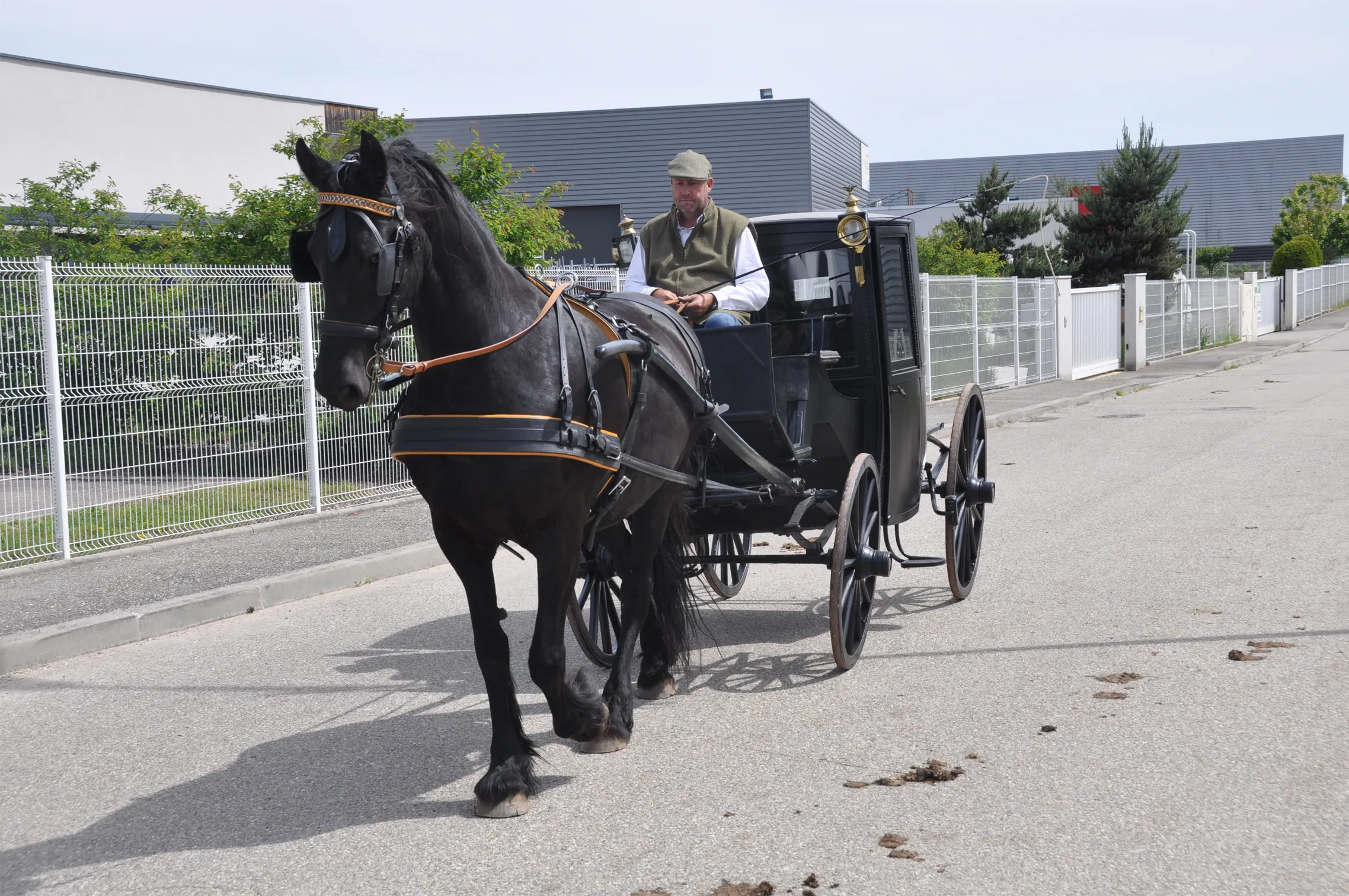 Voitures d'Antan Calèche Coupé de Ville Noir 12