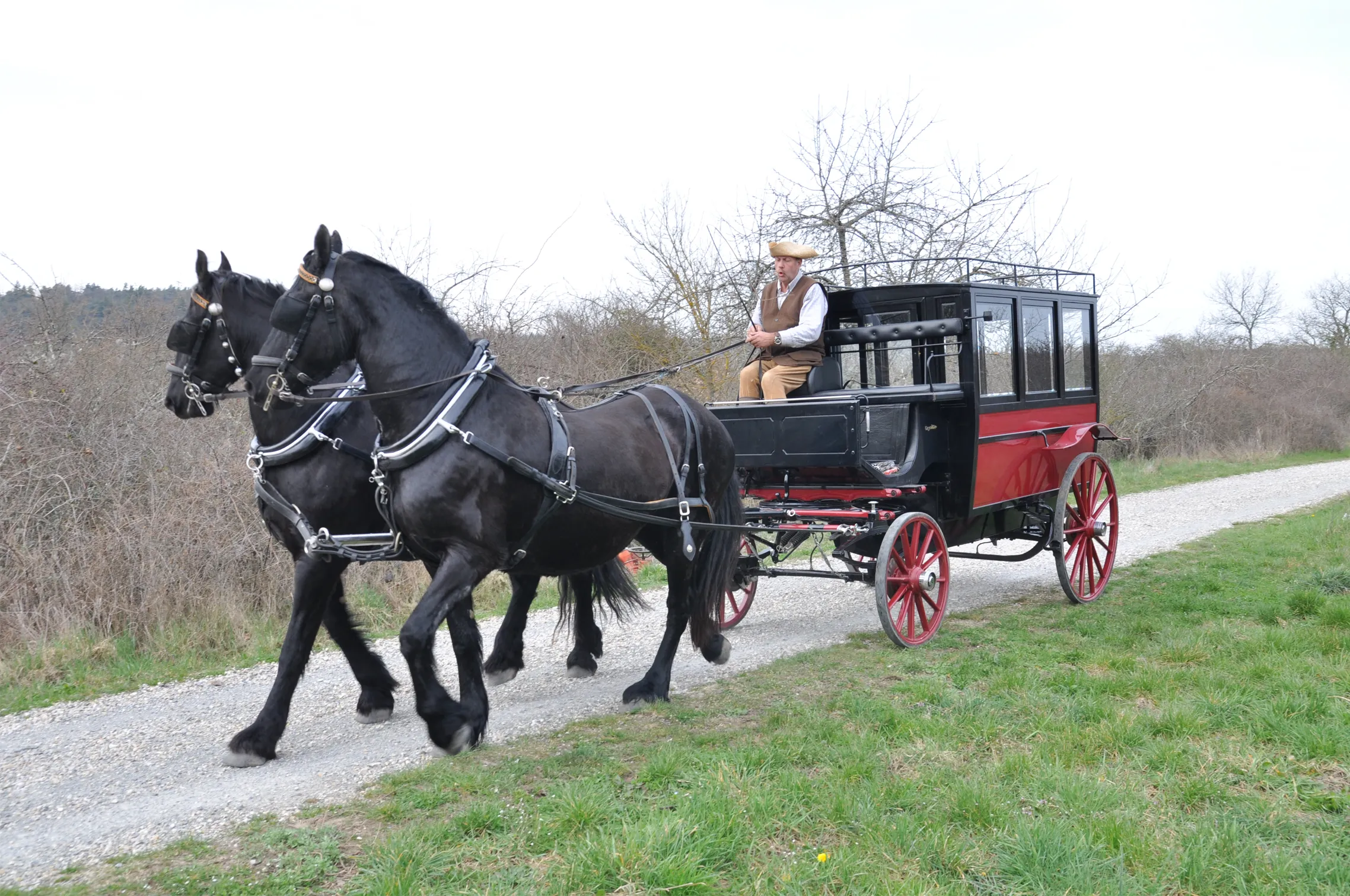Voitures d'Antan Calèche Omnibus 14