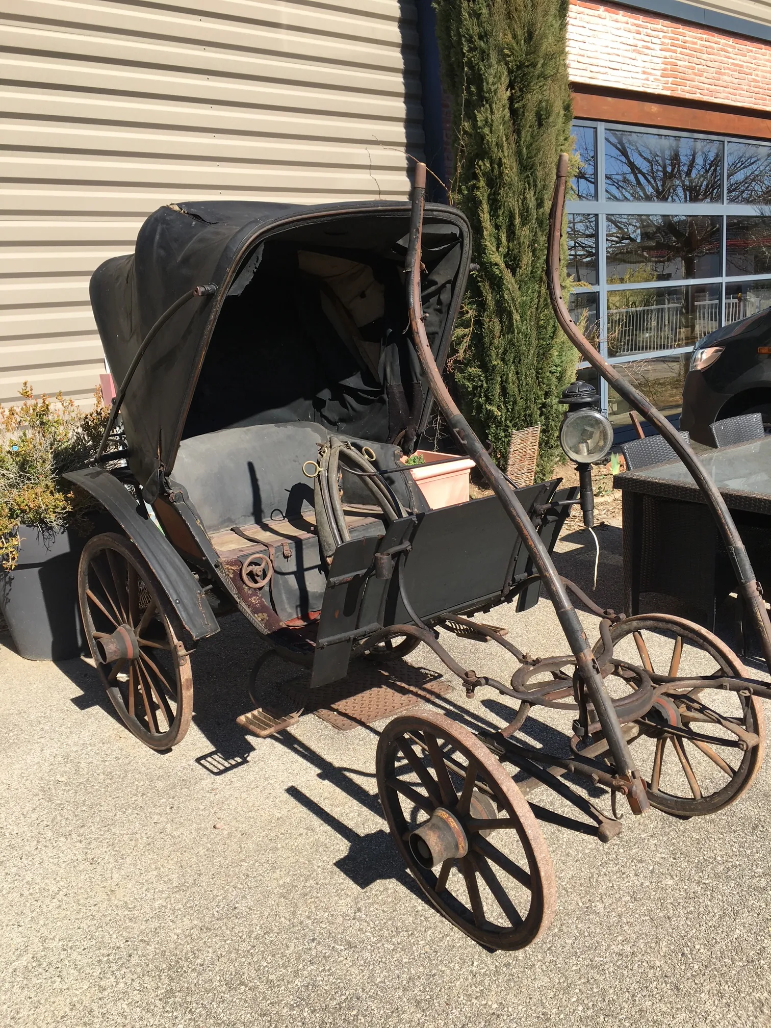 Voitures d'Antan Calèche Petit Duc Poney 11