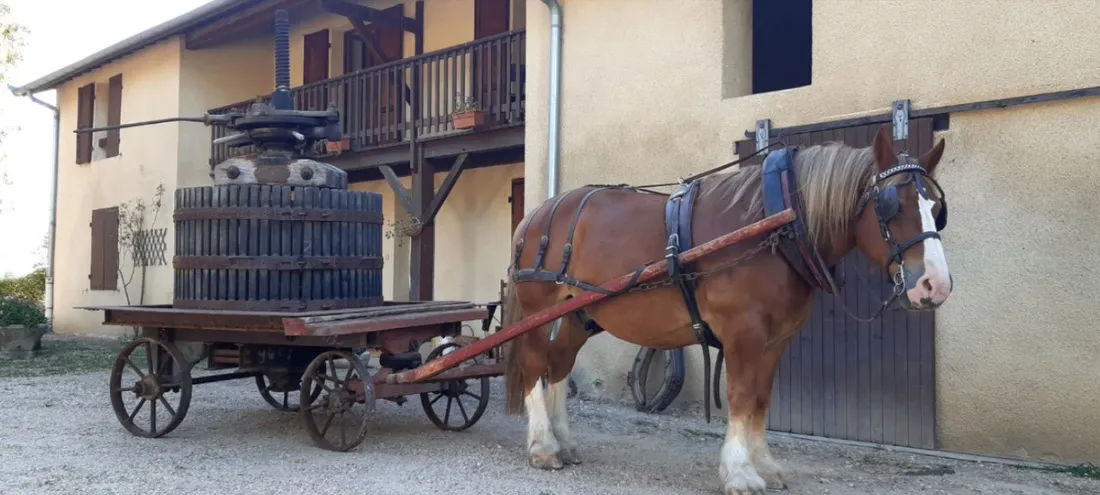Voitures d'Antan Calèche Pressoir 11