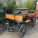 Wagonette Bois