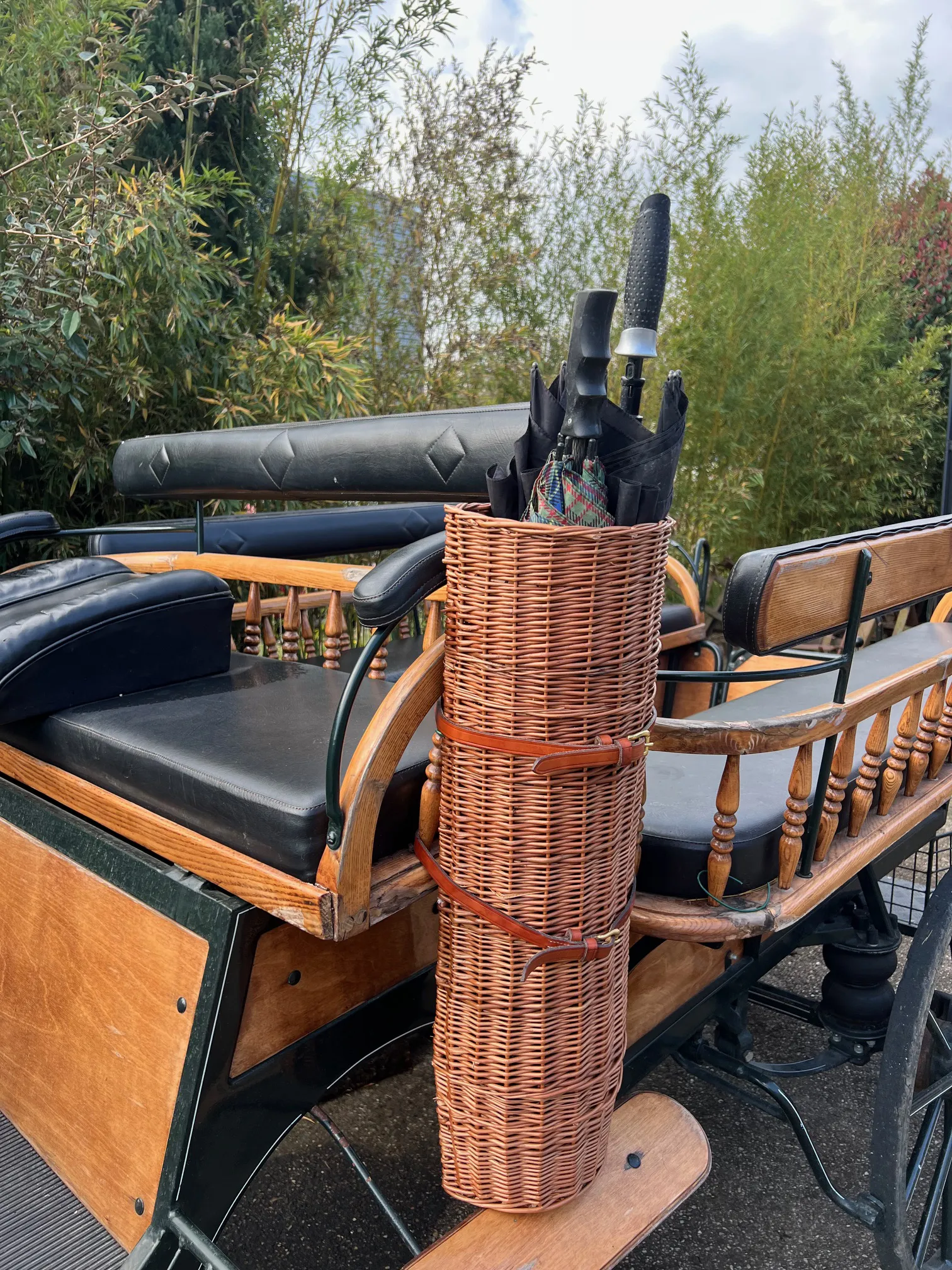 Voitures d'Antan Calèche Wagonette Bois 11