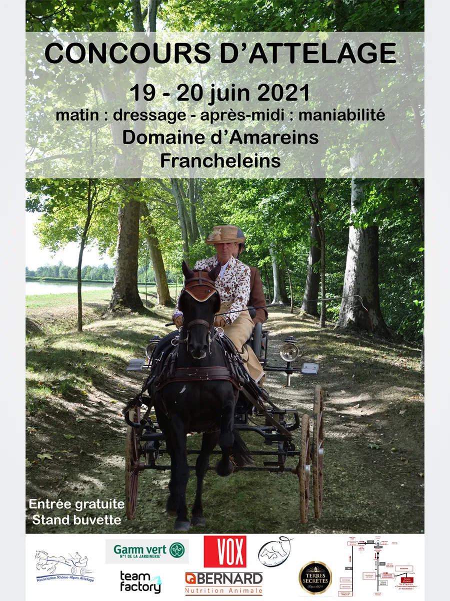 Voitures d'Antan Evenementiel Calèches Compétition Attelage Amareins Francheleins 2021
