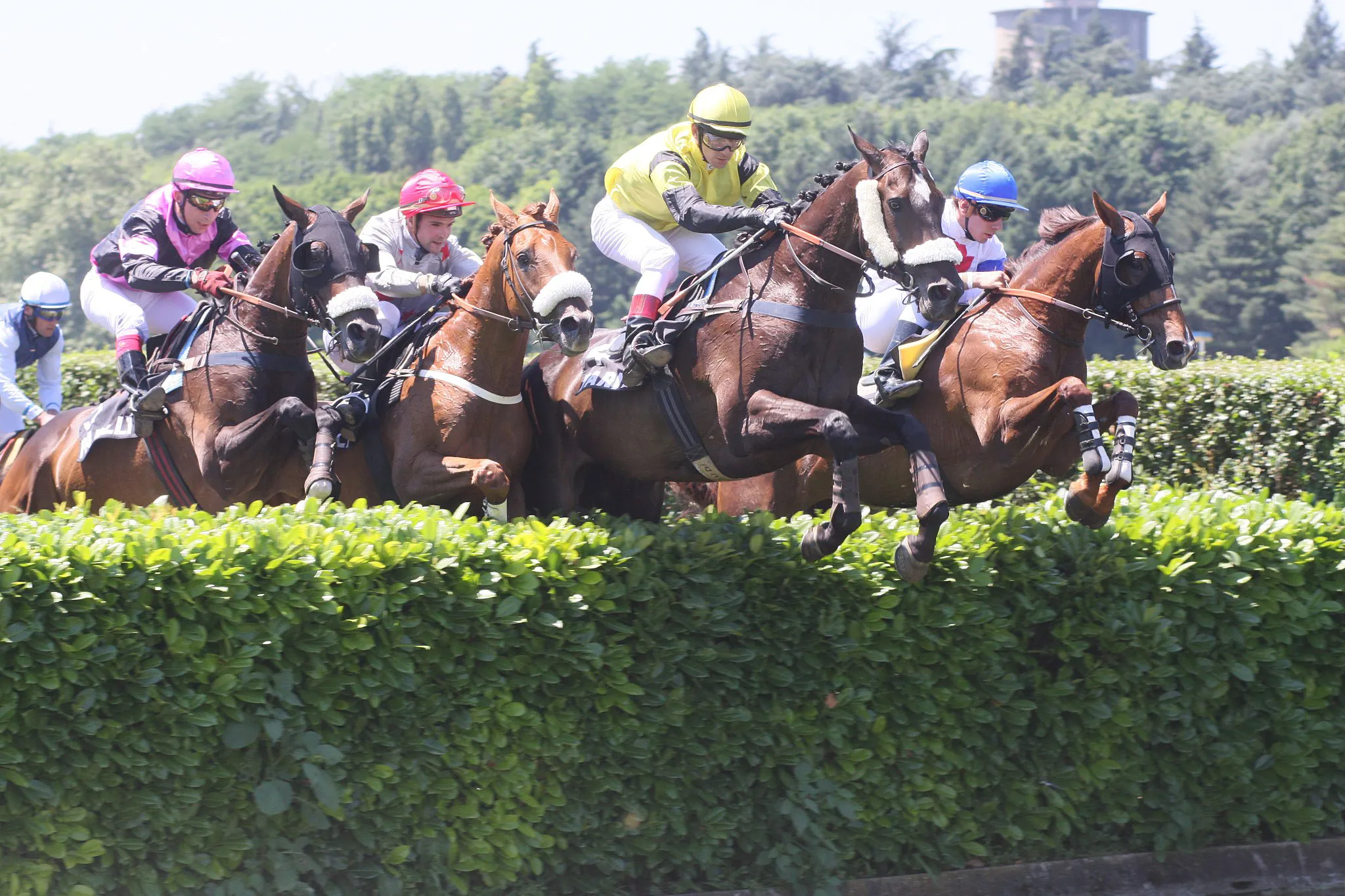 Voitures d'Antan Hippodromes de Lyon 11