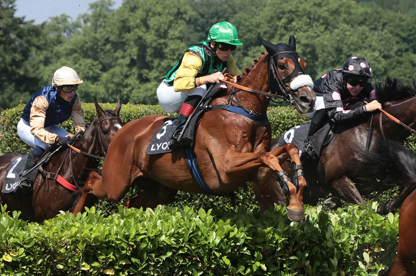 Voitures d'Antan Hippodromes de Lyon 12