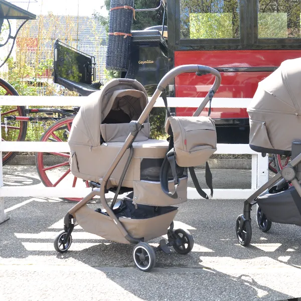 Voitures d'Antan Landaus Carrello 10