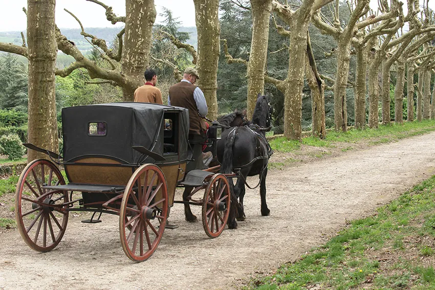 Voitures d'Antan - Balades depuis Vourles 69 - Calèche Attelage Chevaux